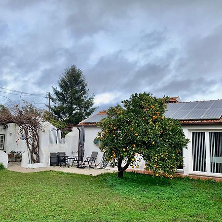 Casa Do Paco Aveiro Studio&Rooms Екстериор снимка