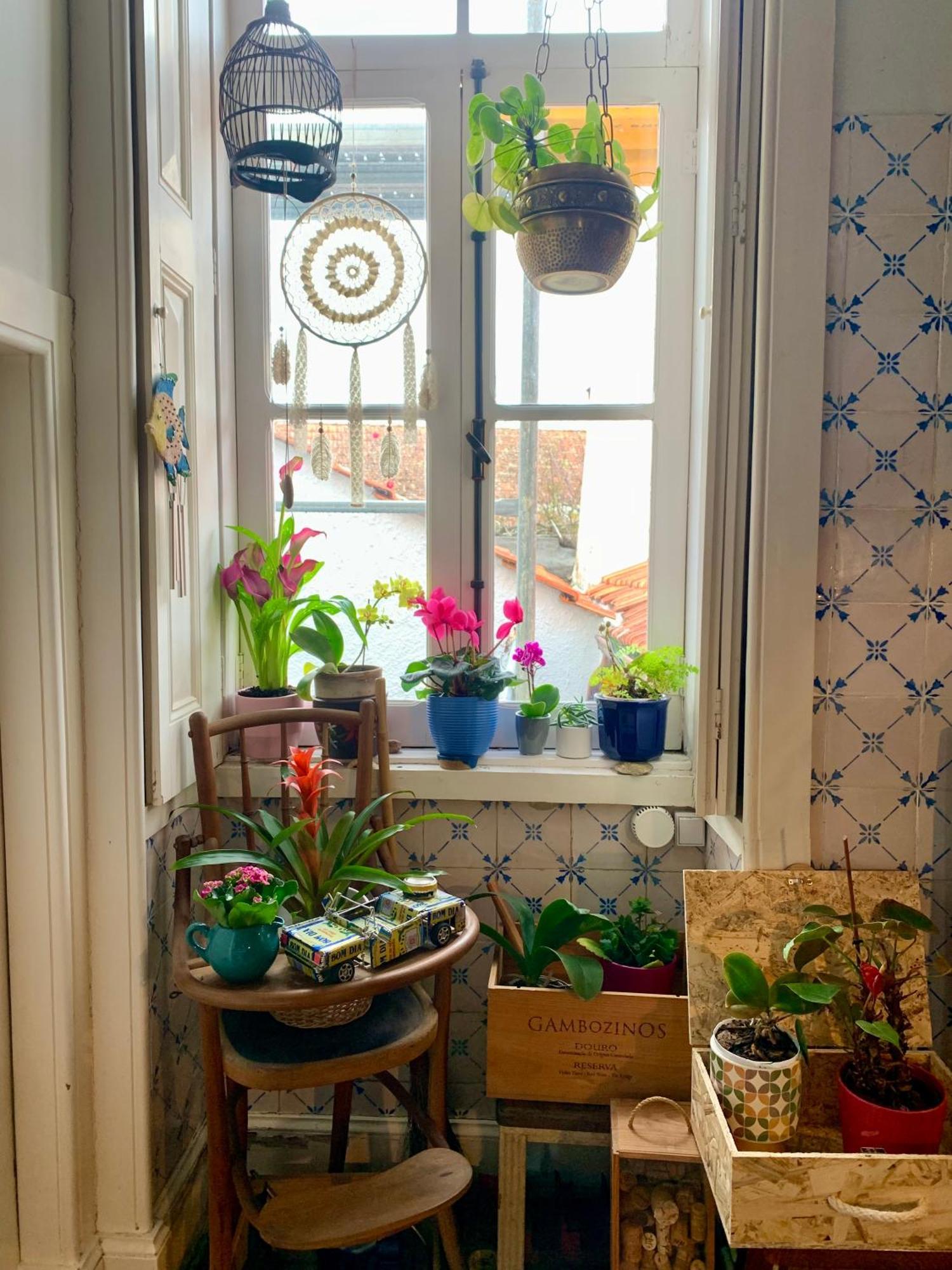 Casa Do Paco Aveiro Studio&Rooms Екстериор снимка