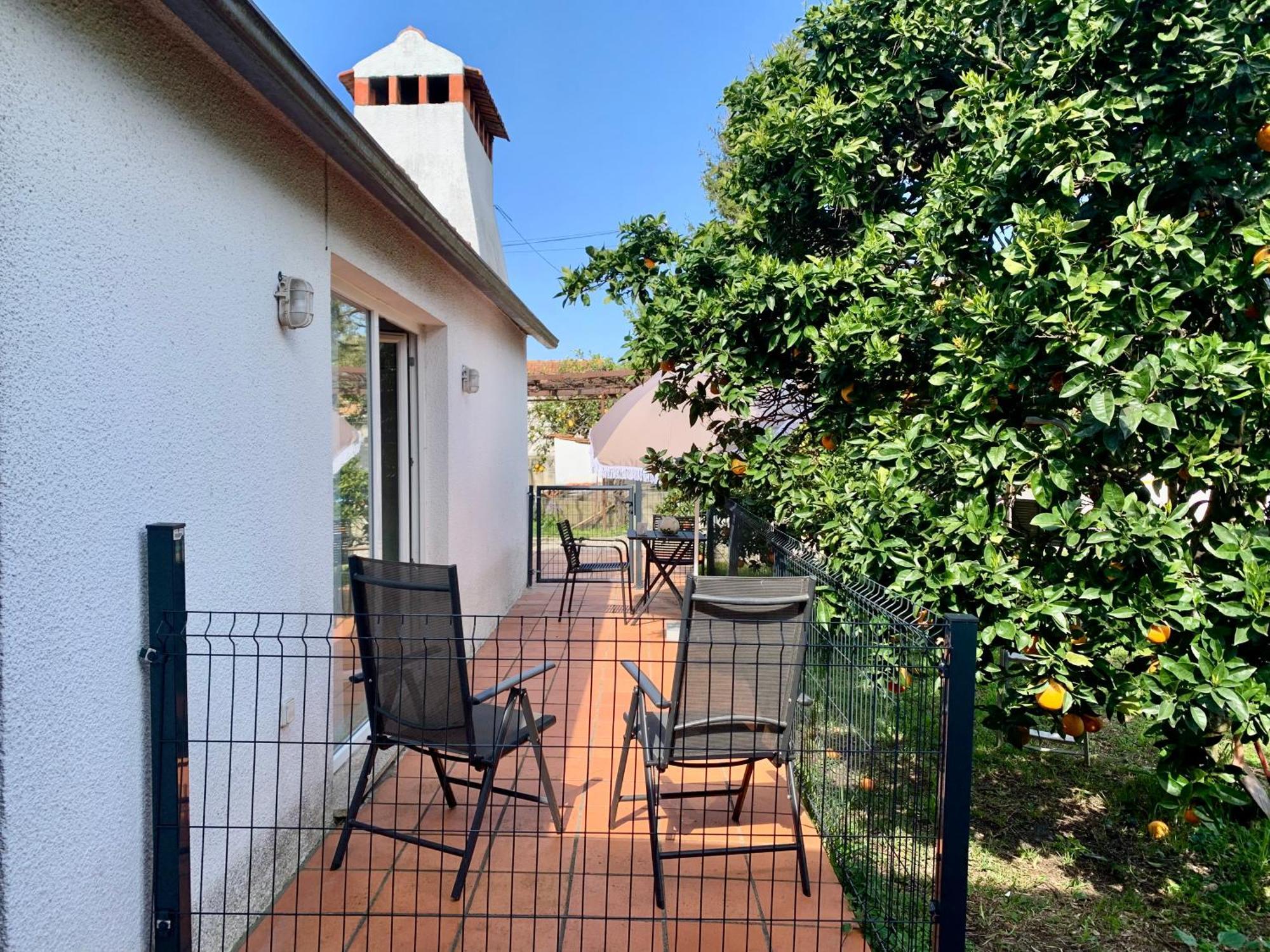 Casa Do Paco Aveiro Studio&Rooms Екстериор снимка
