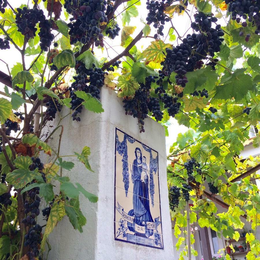 Casa Do Paco Aveiro Studio&Rooms Екстериор снимка